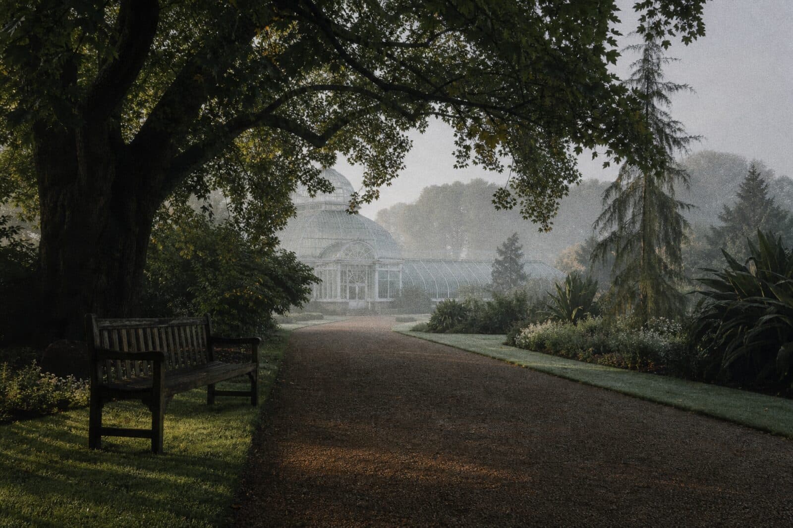 A misty botanical garden with a path leading to a Victorian glasshouse